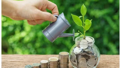 10 रुपये का पौधा 100 में खरीदा