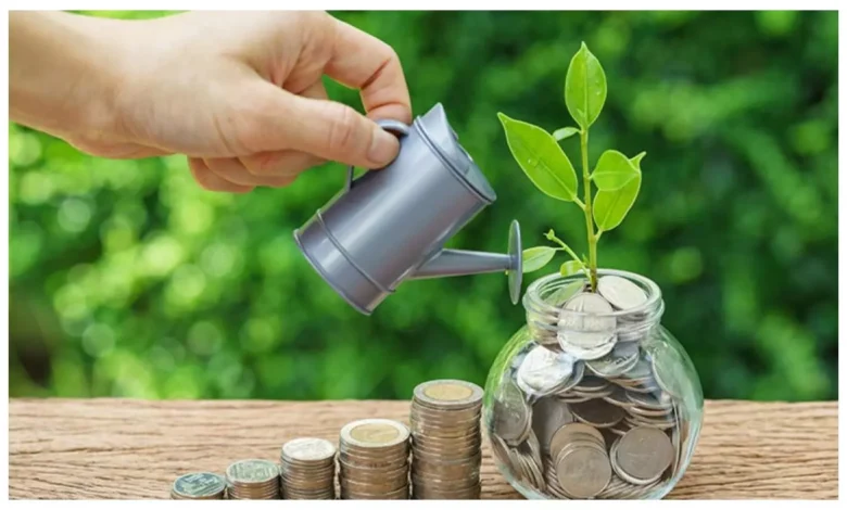 10 रुपये का पौधा 100 में खरीदा