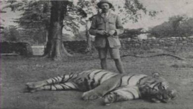 जिम कॉर्बेट