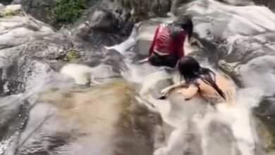 झरने के किनारे मौत