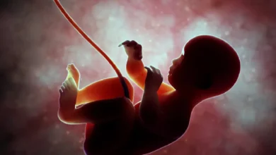 मौत के बाद भी जन्म दे सकती