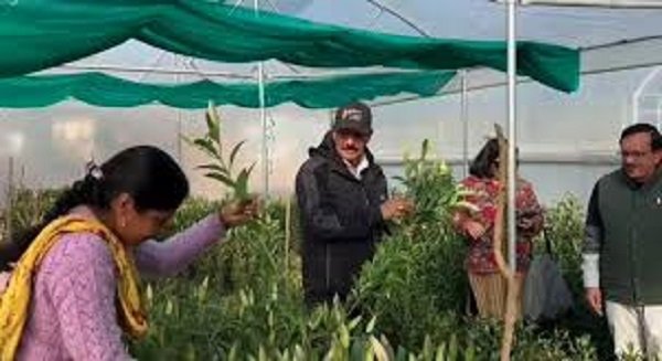 मातृशक्ति ने लिलियम की खुशबू से गढ़ी नई पहचान