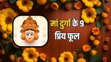 Offer these nine flowers to the nine goddesses during Navratri, your luck will shine.