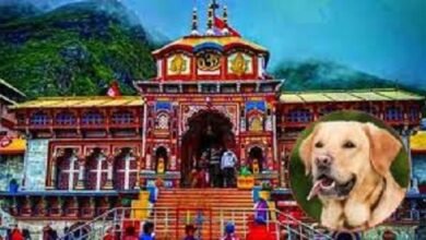 Badrinath Dham: Why dogs do not bark here? Mysterious temple and amazing natural rules!