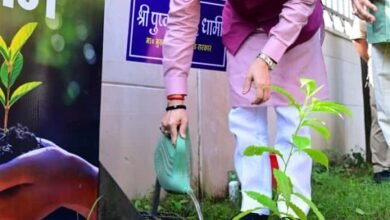 Senior citizens are the pillars of our society, CM Dhami