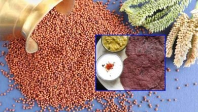 Ragi Benefits