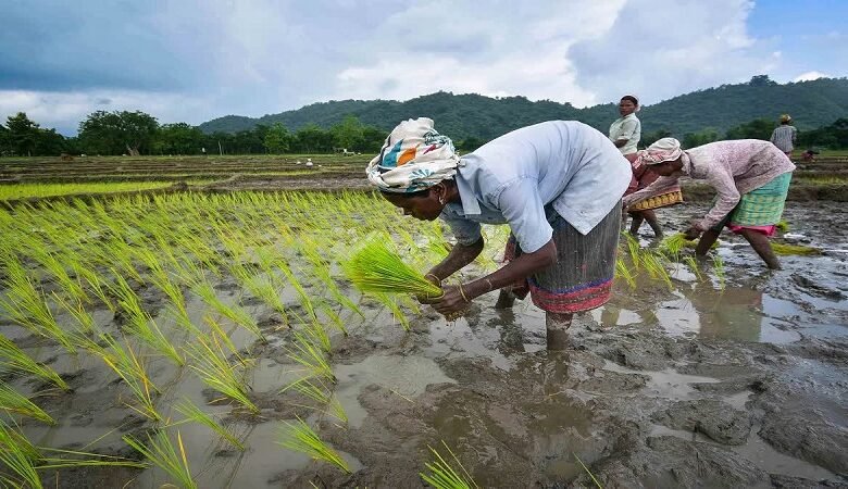 UttarakhandFarmingCrisis