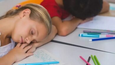 ChineseSchools