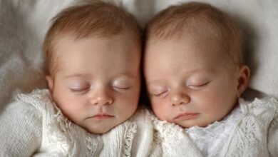 Twinsbirthchart