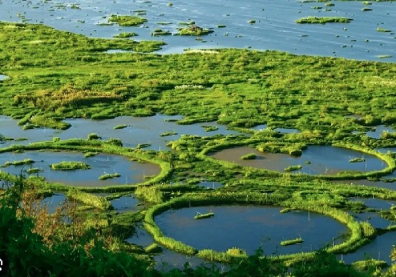 FloatingNationalPark