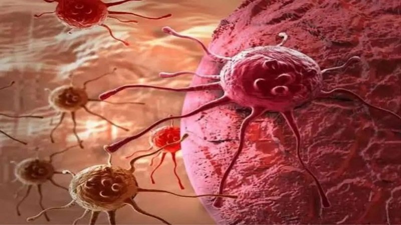 ICMRReport
