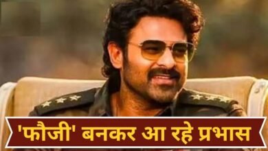 FaujiMovieBudget