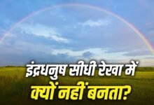 AmazingNatureFacts