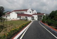 AshishChauhanDM