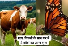 ShakunShastraTips