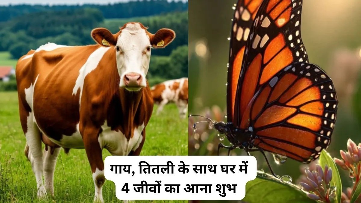 ShakunShastraTips