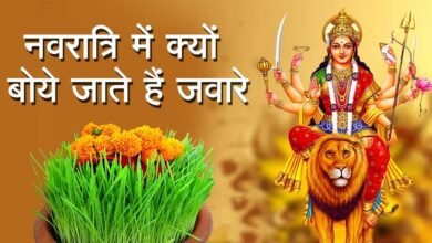 ShardiyaNavratri