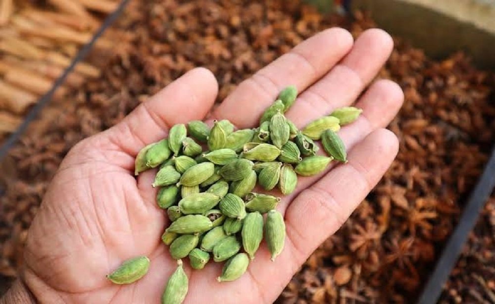 CardamomAstrology